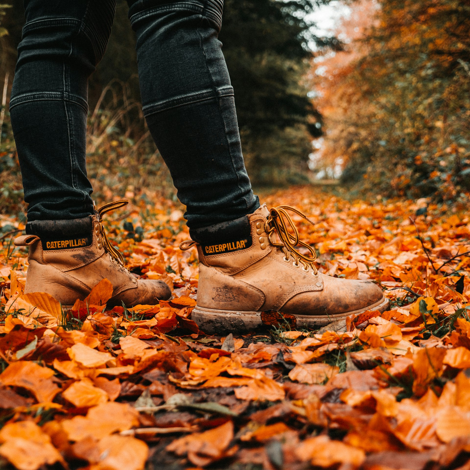 man wearing brown Caterpillar leather work boots standing on ground with leaves